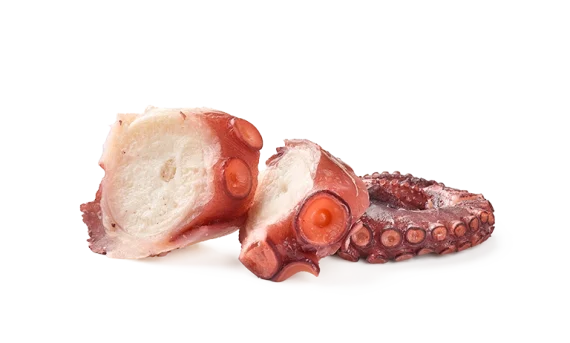 pulpo